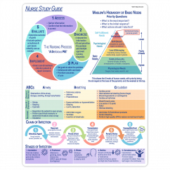 Nurse Study Guide Sheet